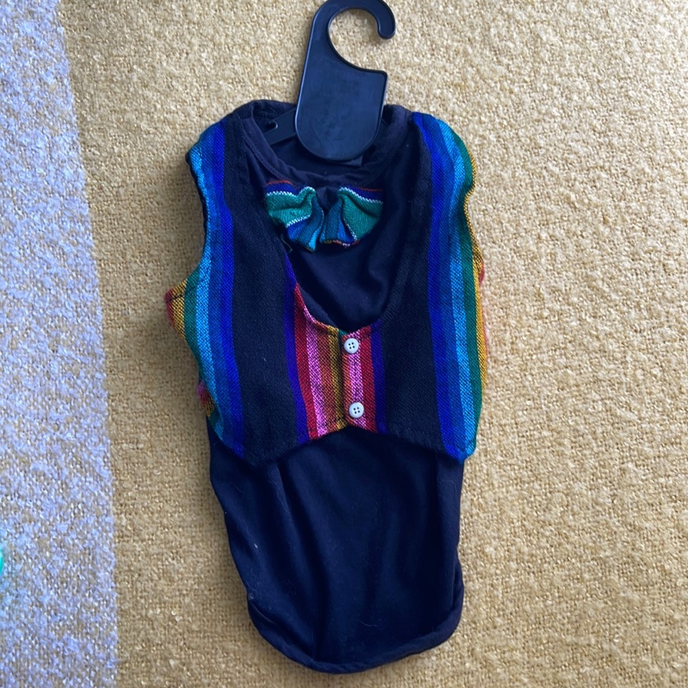 Puppy mariachi outfit